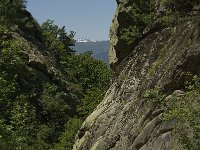 F, Pyrenees Orientales, Vernet-les-Bains, Gorges de Saint Vincent 5, Saxifraga-Jan van der Straaten